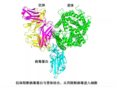 1585307738194081936.jpg 小.jpg